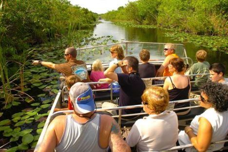 Everglades-Airboat-Ride-in-Miami-Miami-On-The-Water