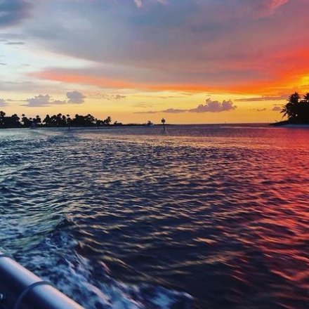 Sunset Cruises in Miami - Miami On The Water Sightseeing