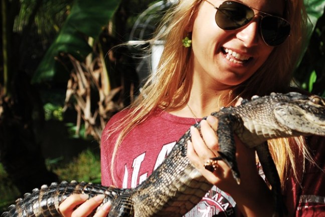 Miami Everglades Tickets - Miami On The Water