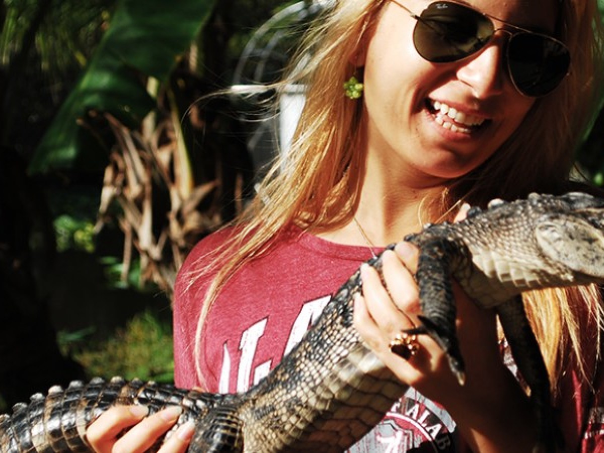 Miami Everglades Tickets - Miami On The Water