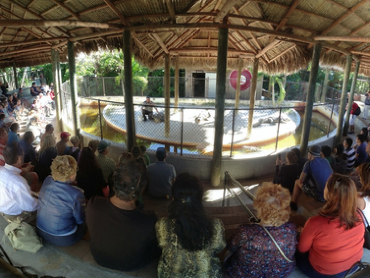 Everglades-Airboat-Ride-in-Miami-Miami-On-The-Water