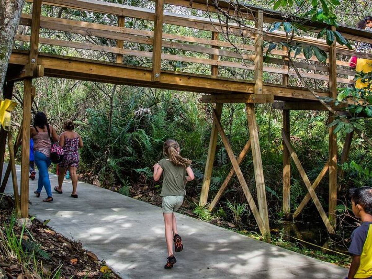 Everglades Park_ Admission Tickets | Miami on the Water