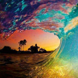 Miami Water Activities - Miami On The Water