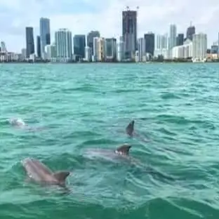Miami Biscayne Bay Boat Tour - Miami Cruise - Miami on the Water