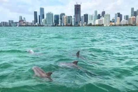 Miami Biscayne Bay Boat Tour - Miami Cruise - Miami on the Water