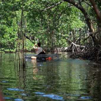 Kayak Tours in Miami - Miami On The Water