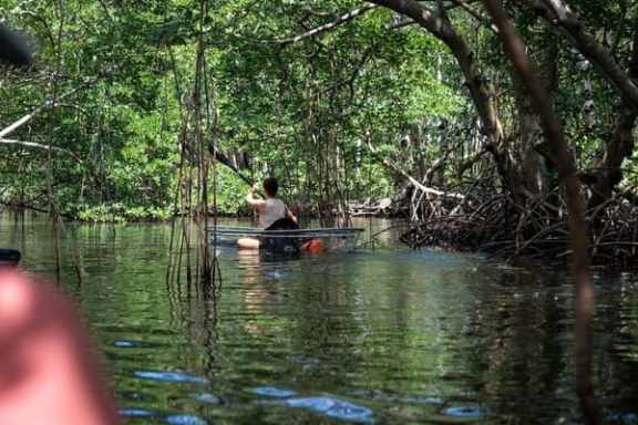 Kayak Tours in Miami - Miami On The Water