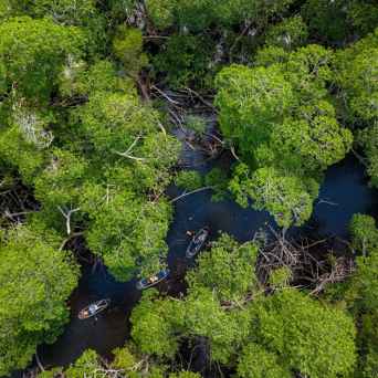 Kayaking in Miami - Miami On The Water