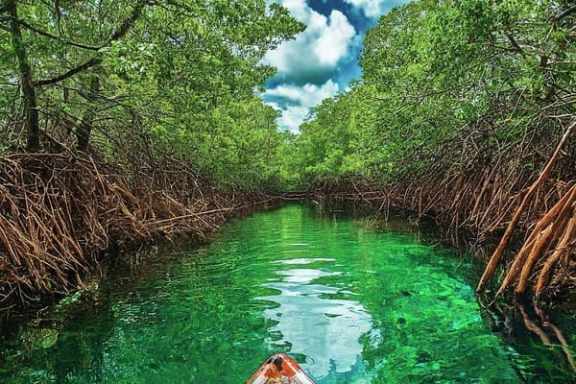 Miami Kayak Tours with Miami on the Water