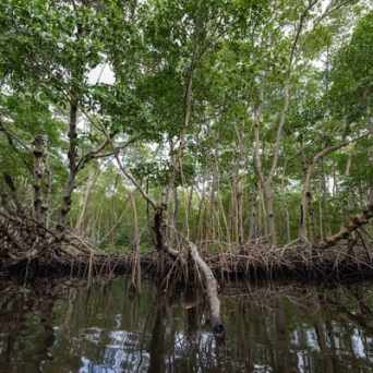 Miami Kayaking Tour - Miami On The Water