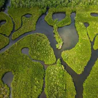 Miami Kayaking Tours - Miami On The Water.