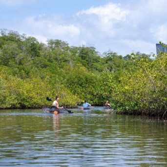 Miami-Kayaking-Tours-Miami-On-The-Water