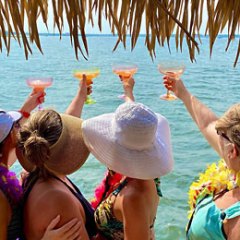 Miami Beach Cruisin Tikis - Miami on the Water