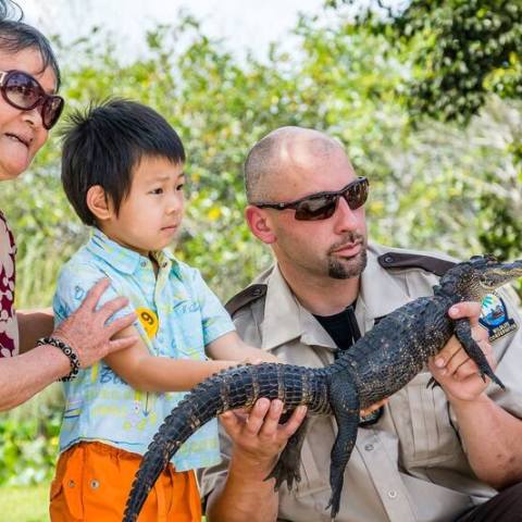 Things To Do In Miami - Everglades Tours - Miami On The Water