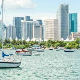 Things To Do In Miami - Miami On The Water