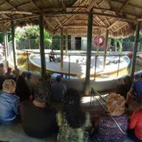 Everglades-Tours-Miami-Miami-on-the-water