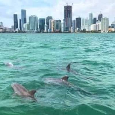 How to Choose the Perfect Boat Tour in Miami: Miami on the Water