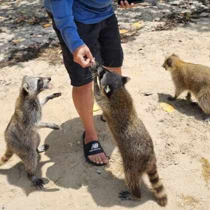 Miami Raccoon Island Boat Rental with Miami On The Water