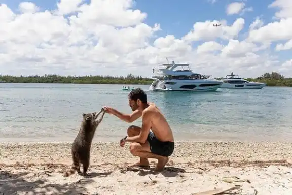 Raccoon Island Boat Tour in Miami with Miami on the Water