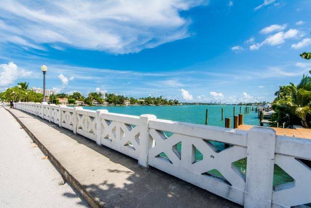 Venetian Island Bridge - Miami on the Water